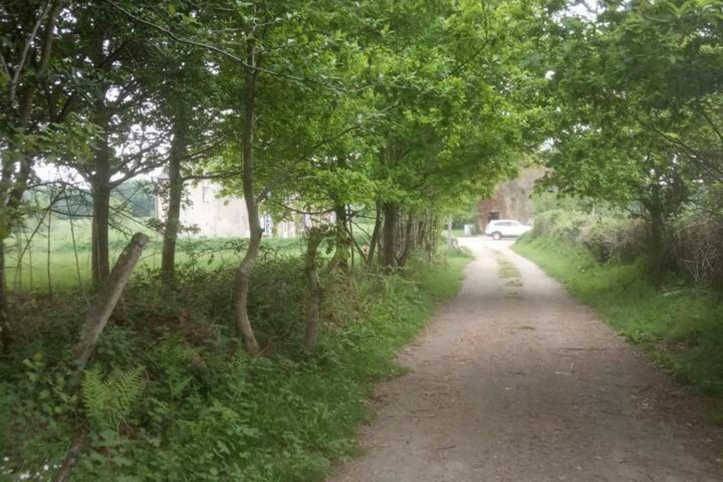 Mortain-Bocage - 2-Bed Wisteria Cottage - Sleeps 4 Notre-Dame-du-Touchet Kültér fotó